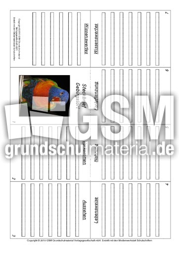 Faltbuch-Gebirgslori.pdf